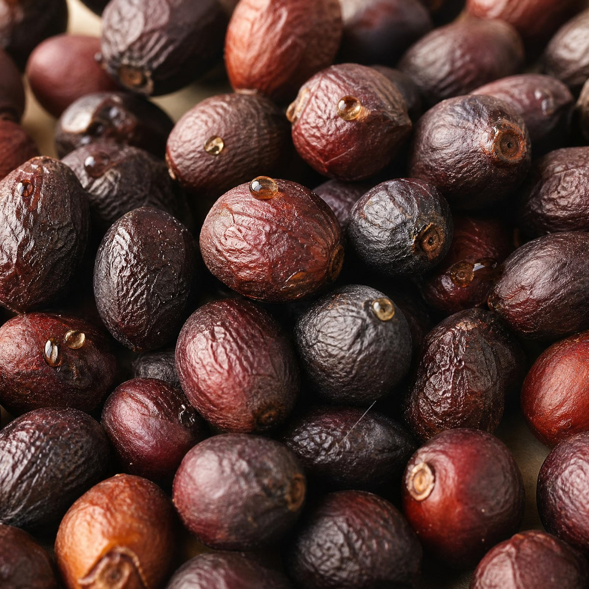 Saw Palmetto